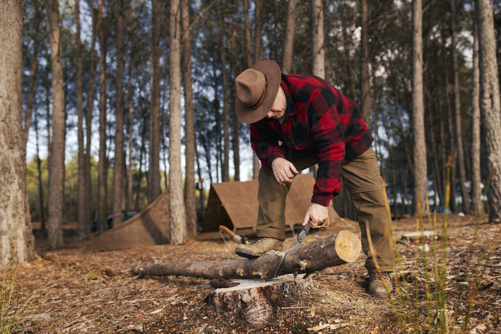Handsaw in the wood